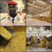 Guinea Raw Gold Export Ban Forces Local Refining