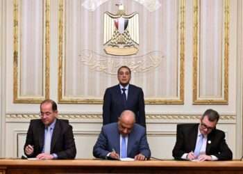 Egypt Expands National Electricity Grid for Green Transition
