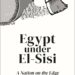 Egypt Overhauls National Social Protection System under El-Sisi