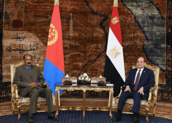 Egypt and Eritrea Bilateral Relations Secure Red Sea Corridor