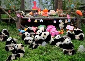 China Donates Panda Pack Sports Packages to Kigali Schools