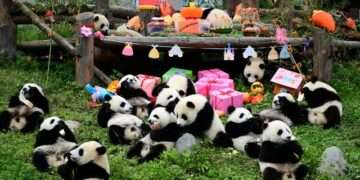 China Donates Panda Pack Sports Packages to Kigali Schools