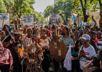 south africa immigration backlash