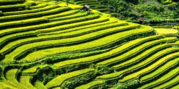 Building Stone Terraces to Support Sustainable Agriculture in Eritrea